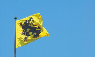 Vlaamse leeuw