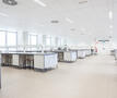 kennisveiligheid